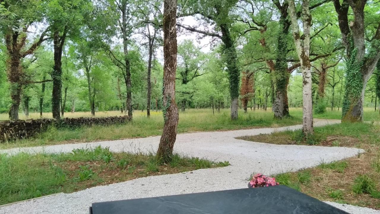 La Terrasse - A Peaceful Place In The Forest Concots Zewnętrze zdjęcie